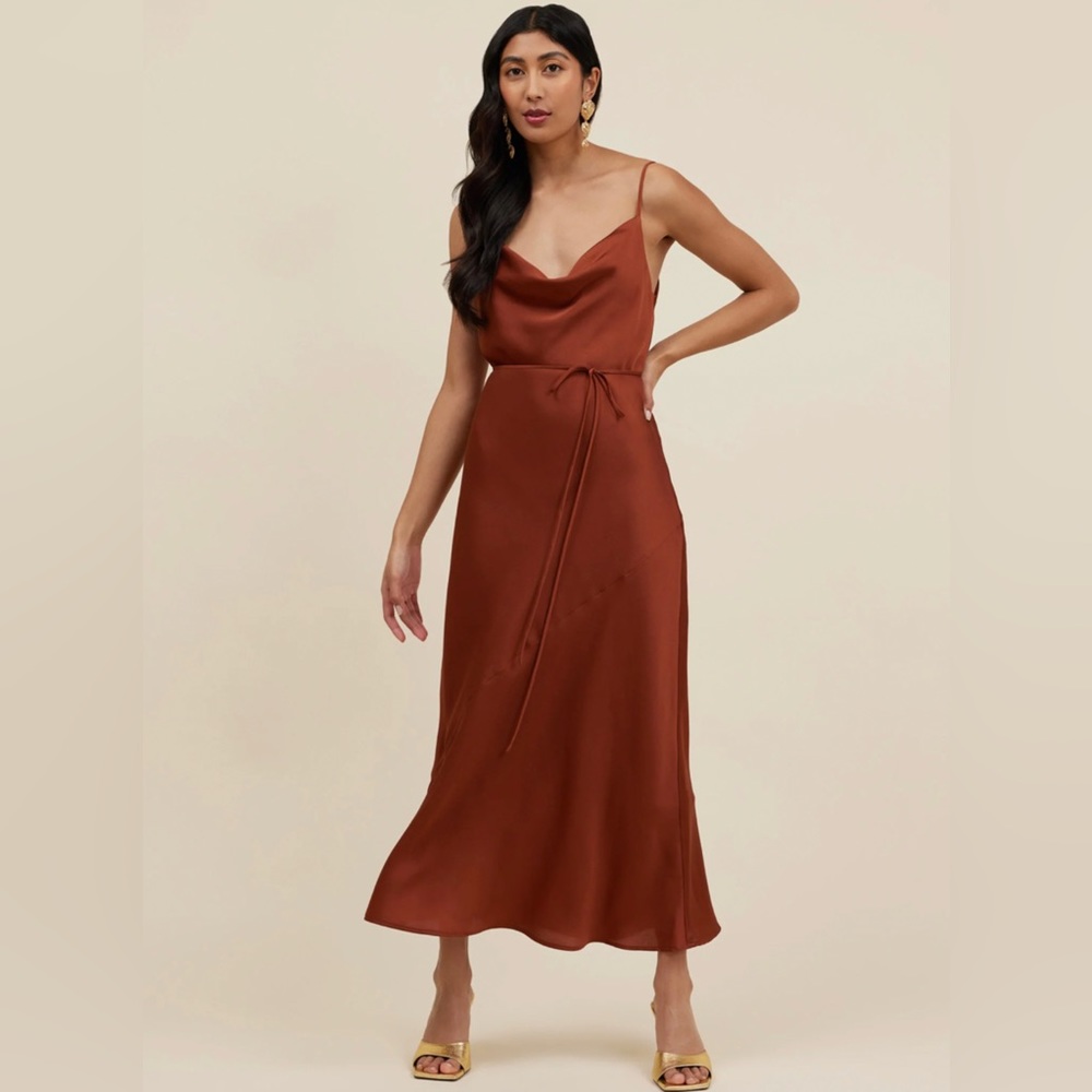 Park & Fifth Waldorf Dress in Rust